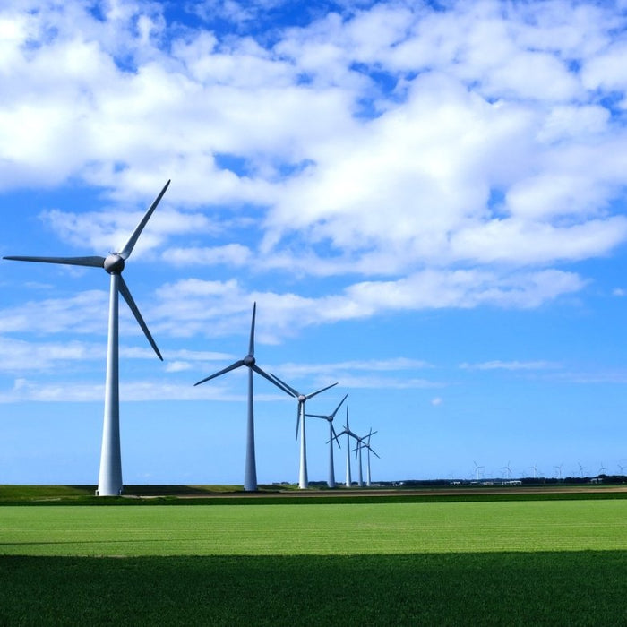 Embracing Energy Efficiency: Unleashing the Power of Aluminium Heritage Doors - Home Build Doors