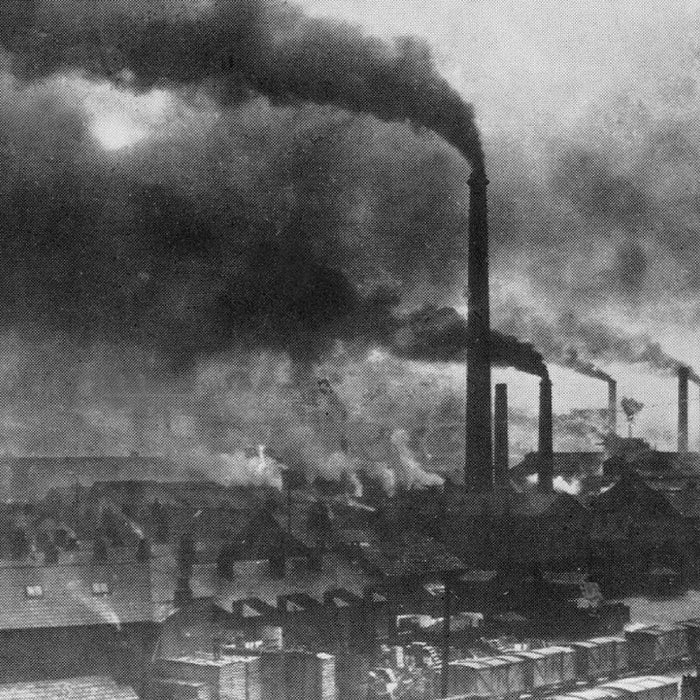 Evolution of Doors: Exploring the Charm of Aluminium Bifold Doors - Home Build Doors