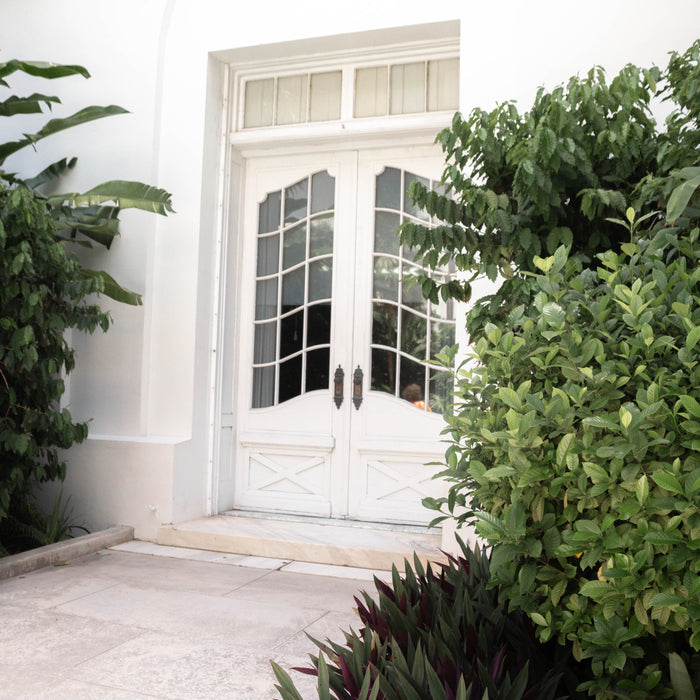 Navigating the Entrance: A Quick Guide to Different Types of External Doors